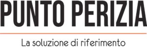 Punto Perizia